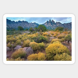 Organ Mountains Chihuahuan Desert Sticker